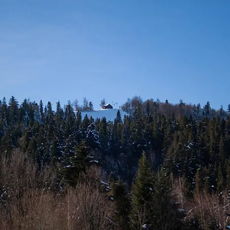 فندق Швагри أوريافتشيك