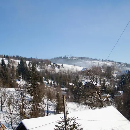 Швагри Oryavchyk