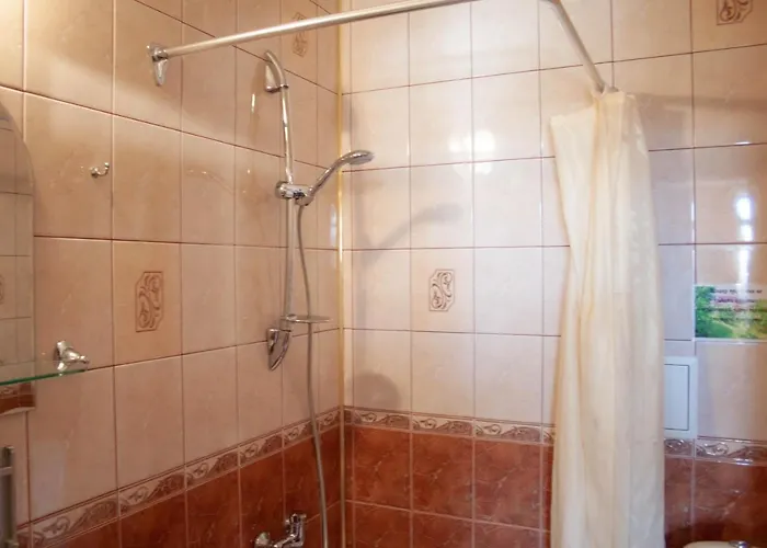 Швагри Hotel Oryavchyk