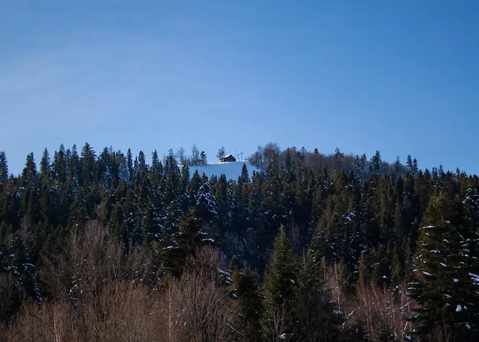 Hotel Швагри Oryavchyk